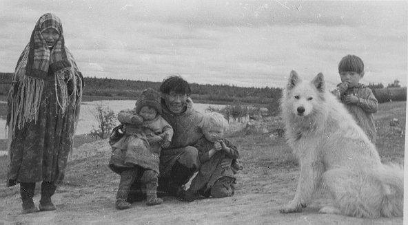 Самоеды